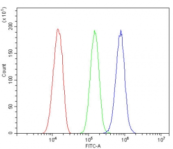Flow cytometry testing of mouse HEPA1-6 cells with Cfh antibody at 1ug/million cells (blocked with goat sera); Red=cells alone, Green=isotype control, Blue= Cfh antibody.