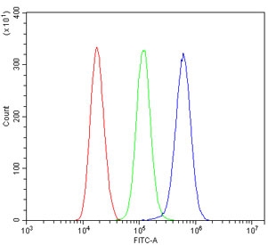 CRYAB Antibody Cell Population FACS. Flow cytometry analysis of Alpha B crystallin / CRYAB in human THP-1 cells using polyclonal CRYAB antibody. The blue histogram shows a clear rightward shift compared to the green isotype control and red unstained cells, indicating detectable CRYAB expression under the conditions tested.