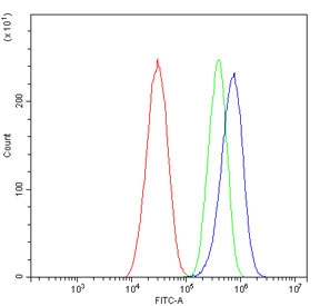 Flow cytometry testing of human HepG2 cells with F11R antibody at 1ug/million cells (blocked with goat sera); Red=cells alone, Green=isotype control, Blue= F11R antibody.