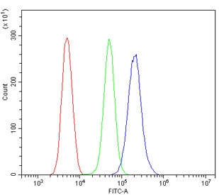 Flow cytometry testing of human ThP-1 cells with HDAC5 antibody at 1ug/million cells (blocked with goat sera); Red=cells alone, Green=isotype control, Blue= HDAC5 antibody.