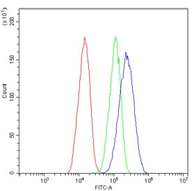 Flow cytometry testing of human HepG2 cells with Pinin antibody at 1ug/million cells (blocked with goat sera); Red=cells alone, Green=isotype control, Blue= Pinin antibody.
