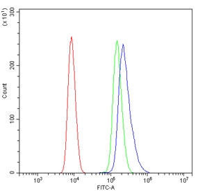 Flow cytometry testing of human HL-60 cells with Pinin antibody at 1ug/million cells (blocked with goat sera); Red=cells alone, Green=isotype control, Blue= Pinin antibody.