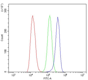 Flow cytometry testing of human HeLa cells with SLC22A3 antibody at 1ug/million cells (blocked with goat sera); Red=cells alone, Green=isotype control, Blue= SLC22A3 antibody.