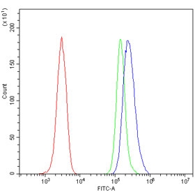 Flow cytometry testing of mouse RAW264.7 cells with Tnfrsf17 antibody at 1ug/million cells (blocked with goat sera); Red=cells alone, Green=isotype control, Blue= Tnfrsf17 antibody.