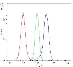 Flow cytometry testing of human A549 cells with DR6 antibody at 1ug/million cells (blocked with goat sera); Red=cells alone, Green=isotype control, Blue= DR6 antibody.
