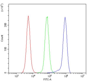 Flow cytometry testing of mouse RAW264.7 cells with YTHDF2 antibody at 1ug/million cells (blocked with goat sera); Red=cells alone, Green=isotype control, Blue= YTHDF2 antibody.