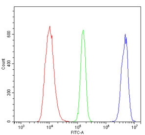 Flow cytometry testing of human HL-60 cells with MCM2 antibody at 1ug/million cells (blocked with goat sera); Red=cells alone, Green=isotype control, Blue= MCM2 antibody.