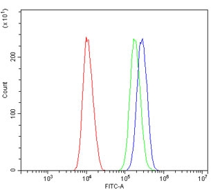 Flow cytometry testing of human SiHa cells with HNRNPD antibody at 1ug/million cells (blocked with goat sera); Red=cells alone, Green=isotype control, Blue= HNRNPD antibody.