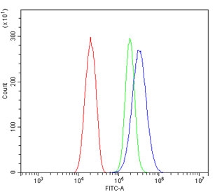 ARG1 Antibody for FACS (clone 2B12) flow cytometry analysis of human SiHa cells. Flow cytometry testing of human SiHa cells stained with the mouse monoclonal ARG1 Antibody for FACS at 1ug per million cells demonstrates a rightward fluorescence shift of the ARG1 antibody signal (blue) relative to the isotype control (green), indicating detection of intracellular Arginase-1 (ARG1). Cells were blocked with goat sera prior to antibody incubation. The red trace represents unstained cells, the green trace represents the isotype control, and the blue trace represents staining with the ARG1 antibody, confirming specific ARG1 detection by flow cytometry.
