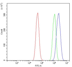 Flow cytometry testing of human A431 cells with CYP2C19 antibody at 1ug/million cells (blocked with goat sera); Red=cells alone, Green=isotype control, Blue= CYP2C19 antibody.