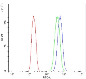 Flow cytometry testing of human A431 cells with ACTR3 antibody at 1ug/million cells (blocked with goat sera); Red=cells alone, Green=isotype control, Blue= ACTR3 antibody.