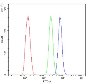 Flow cytometry testing of mouse ANA-1 cells with ACTR3 antibody at 1ug/million cells (blocked with goat sera); Red=cells alone, Green=isotype control, Blue= ACTR3 antibody.