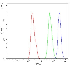 Flow cytometry testing of human A549 cells with CBX8 antibody at 1ug/million cells (blocked with goat sera); Red=cells alone, Green=isotype control, Blue= CBX8 antibody.
