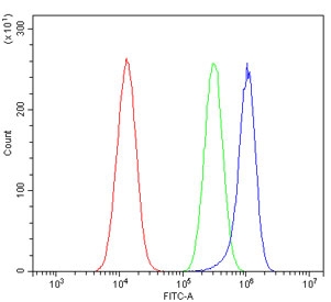 Flow cytometry testing of human A549 cells with Endothelin A Receptor antibody at 1ug/million cells (blocked with goat sera); Red=cells alone, Green=isotype control, Blue= Endothelin A Receptor antibody.