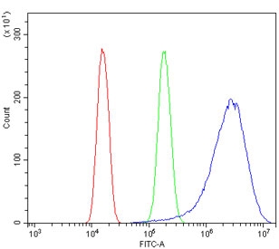 EGF Receptor Antibody FACS. Flow cytometry testing of human A431 cells with EGF Receptor antibody at 1ug/million cells (blocked with goat sera); Red=cells alone, Green=isotype control, Blue= EGF Receptor antibody.