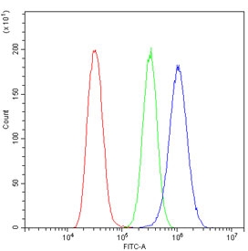 Flow cytometry testing of human U-2 OS cells with Glypican 5 antibody at 1ug/million cells (blocked with goat sera); Red=cells alone, Green=isotype control, Blue= Glypican 5 antibody.