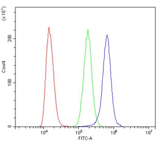 IRF3 Antibody K562 FACS. Flow cytometry testing of human K562 cells with IRF3 antibody at 1ug/million cells (blocked with goat sera); Red=cells alone, Green=isotype control, Blue= IRF3 antibody.
