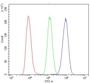 Flow cytometry testing of human Raji cells with ITGB4 antibody at 1ug/million cells (blocked with goat sera); Red=cells alone, Green=isotype control, Blue= ITGB4 antibody.