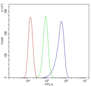 MLC1 Antibody FACS. Flow cytometry testing of human ThP-1 cells with MLC1 antibody at 1ug/million cells (blocked with goat sera); Red=cells alone, Green=isotype control, Blue= CD59 antibody.
