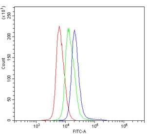 Flow cytometry testing of mouse spleen cells with Cd73 antibody at 1ug/million cells (blocked with goat sera); Red=cells alone, Green=isotype control, Blue= Cd73 antibody.