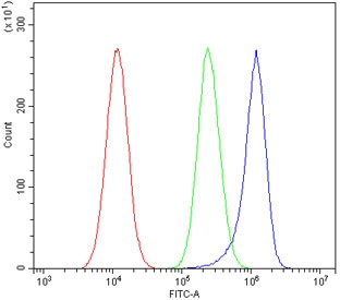 Flow cytometry testing of human A549 cells with PDE6 alpha antibody at 1ug/million cells (blocked with goat sera); Red=cells alone, Green=isotype control, Blue= PDE6 alpha antibody.