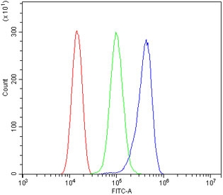 Flow cytometry testing of human ThP-1 cells with PNPT1 antibody at 1ug/million cells (blocked with goat sera); Red=cells alone, Green=isotype control, Blue= PNPT1 antibody.