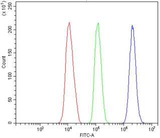 Flow cytometry testing of mouse HEPA1-6 cells with Rad9b antibody at 1ug/million cells (blocked with goat sera); Red=cells alone, Green=isotype control, Blue= Rad9b antibody.