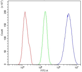 Flow cytometry testing of human HeLa cells with SGK1 antibody at 1ug/million cells (blocked with goat sera); Red=cells alone, Green=isotype control, Blue= SGK1 antibody.