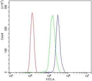 Flow cytometry testing of human ThP-1 cells with STAT6 antibody at 1ug/million cells (blocked with goat sera); Red=cells alone, Green=isotype control, Blue= STAT6 antibody.