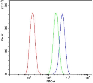 Flow cytometry testing of human A549 cells with 14-3-3 gamma antibody at 1ug/million cells (blocked with goat sera); Red=cells alone, Green=isotype control, Blue= 14-3-3 gamma antibody.