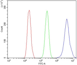 Flow cytometry testing of human A431 cells with DDX5 antibody at 1ug/million cells (blocked with goat sera); Red=cells alone, Green=isotype control, Blue= DDX5 antibody.