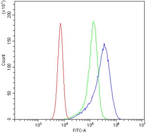 Flow cytometry testing of human U-2 OS cells with HSP22 antibody at 1ug/million cells (blocked with goat sera); Red=cells alone, Green=isotype control, Blue= HSP22 antibody.