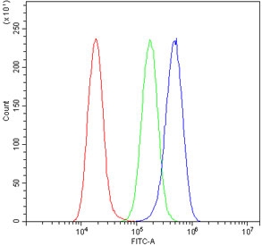 Flow cytometry testing of human A549 cells with Bid antibody at 1ug/million cells (blocked with goat sera); Red=cells alone, Green=isotype control, Blue= Bid antibody.