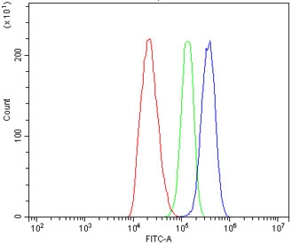 Flow cytometry testing of rat C6 cells with ATG7 antibody at 1ug/million cells (blocked with goat sera); Red=cells alone, Green=isotype control, Blue= ATG7 antibody.