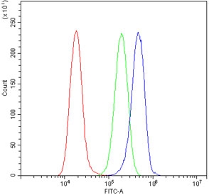 Flow cytometry testing of human A549 cells with AR antibody at 1ug/million cells (blocked with goat sera); Red=cells alone, Green=isotype control, Blue= AR antibody.