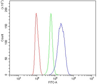 Flow cytometry testing of human RAW264.7 cells with AR antibody at 1ug/million cells (blocked with goat sera); Red=cells alone, Green=isotype control, Blue= AR antibody.