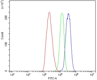 Flow cytometry testing of human C6 cells with AR antibody at 1ug/million cells (blocked with goat sera); Red=cells alone, Green=isotype control, Blue= AR antibody.