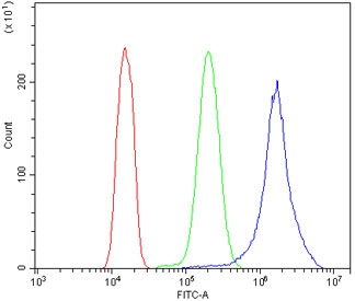 Flow cytometry testing of human A431 cells with CCNB1 antibody at 1ug/million cells (blocked with goat sera); Red=cells alone, Green=isotype control, Blue= CCNB1 antibody.