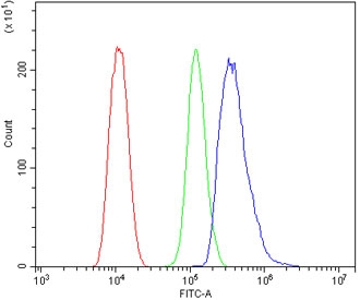 Flow cytometry testing of human ThP-1 cells with CHOP antibody at 1ug/million cells (blocked with goat sera); Red=cells alone, Green=isotype control, Blue= DDIT3 antibody.