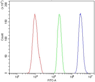 Flow cytometry testing of fixed and permeabilized human HL60 cells with RNA Helicase A antibody at 1ug/million cells (blocked with goat sera); Red=cells alone, Green=isotype control, Blue= RNA Helicase A antibody.