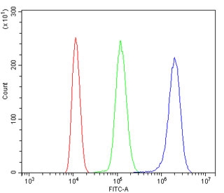 Flow cytometry testing of mouse ANA-1 cells with DNAJA2 antibody at 1ug/million cells (blocked with goat sera); Red=cells alone, Green=isotype control, Blue= DNAJA2 antibody.