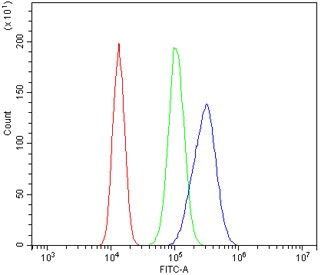 Gastrotropin Antibody 293T Cells FACS. Flow cytometric analysis of human 293T cells was performed using Gastrotropin antibody at 1 ug per million cells following blocking with goat sera. Gastrotropin, also known as Intestinal Lipid Binding Protein and FABP6, is an intracellular Bile Acid Binding Protein involved in bile acid transport and lipid homeostasis. Red histogram: cells alone. Green histogram: isotype control. Blue histogram: Gastrotropin antibody. The marked rightward shift of the Gastrotropin antibody signal relative to the controls demonstrates specific detection of endogenous FABP6 expression in 293T cells. These results support the utility of Gastrotropin Antibody for studies of bile acid metabolism, nutrient transport, and gastrointestinal physiology.