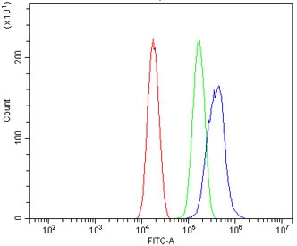 Flow cytometry testing of human PC-3 cells with LIM-1 antibody at 1ug/million cells (blocked with goat sera); Red=cells alone, Green=isotype control, Blue= LIM-1 antibody.