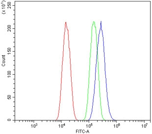 Flow cytometry testing of human A549 cells with Musashi 1 antibody at 1ug/million cells (blocked with goat sera); Red=cells alone, Green=isotype control, Blue= Musashi 1 antibody.