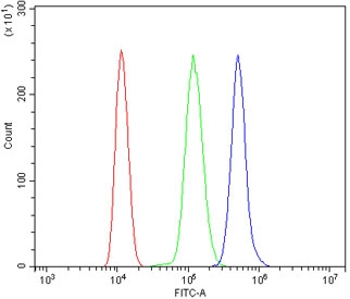 Flow cytometry testing of mouse ANA-1 cells with Mt-nd2 antibody at 1ug/million cells (blocked with goat sera); Red=cells alone, Green=isotype control, Blue= Mt-nd2 antibody.