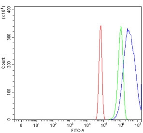 Flow cytometry testing of rat RH35 cells with Mtnd2 antibody at 1ug/million cells (blocked with goat sera); Red=cells alone, Green=isotype control, Blue= Mtnd2 antibody.