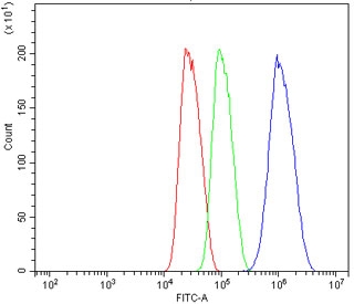 Flow cytometry testing of human HepG2 cells with Nectin 2 antibody at 1ug/million cells (blocked with goat sera); Red=cells alone, Green=isotype control, Blue= Nectin 2 antibody.