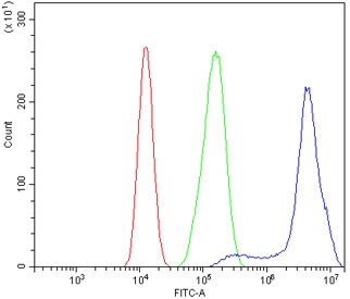 Flow cytometry testing of human Caco-2 cells with PRDM5 antibody at 1ug/million cells (blocked with goat sera); Red=cells alone, Green=isotype control, Blue= PRDM5 antibody.