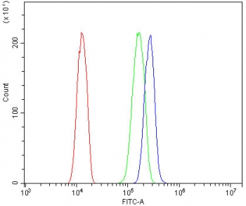 Flow cytometry testing of human HeLa cells with REC8 antibody at 1ug/million cells (blocked with goat sera); Red=cells alone, Green=isotype control, Blue= REC8 antibody.