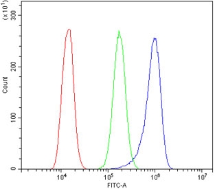 Flow cytometry testing of human A431 cells with Vinexin antibody at 1ug/million cells (blocked with goat sera); Red=cells alone, Green=isotype control, Blue= CD59 antibody.